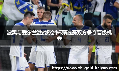 波黑与爱尔兰激战欧洲杯预选赛双方争夺晋级机会